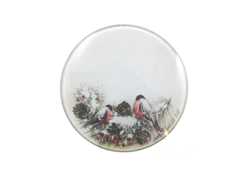 Coasters Glass - Dompap