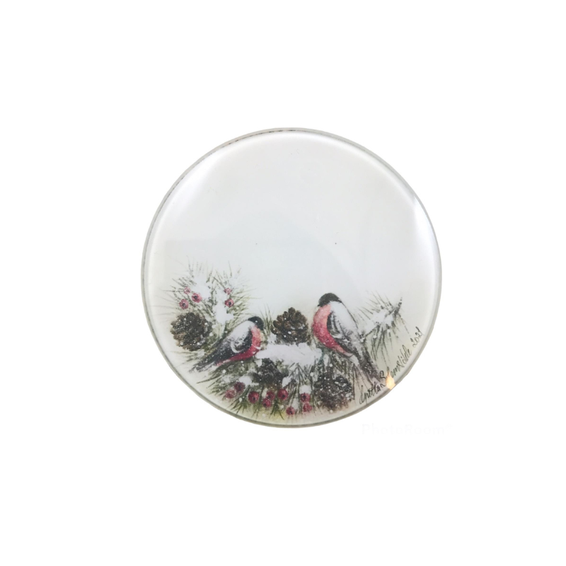 Coasters Glass - Dompap